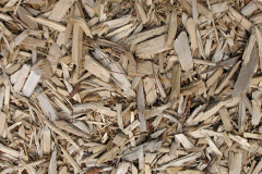 biomass boilers Flaxton